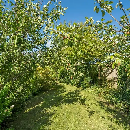 Charming Chardan Cottage, *